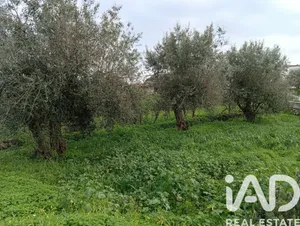 Terrain agricole   à Ameixial