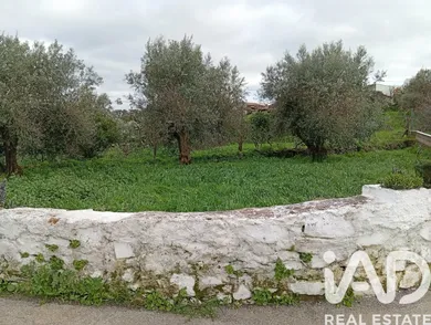 Terrain agricole à Ameixial