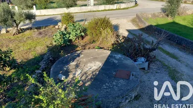 Casa de campo  em Aljubarrota