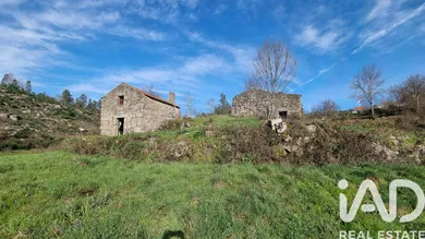 Farm land in Salgueirais - Celorico da Beira