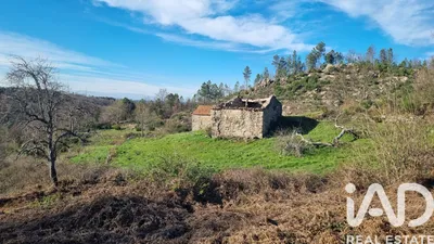Fotografia 3 de Terreno rústico de 35 818 m² em Salgueirais - Celorico da Beira