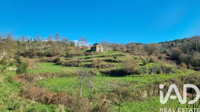 Fotografia 1 de Terreno rústico de 35 818 m² em Salgueirais - Celorico da Beira