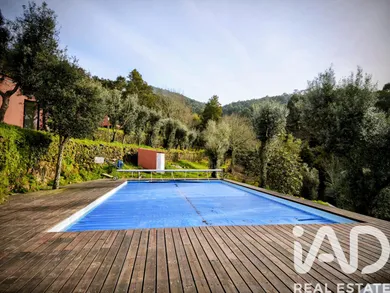 Farm in argela