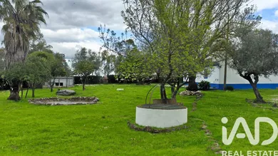 Farm in Estremoz