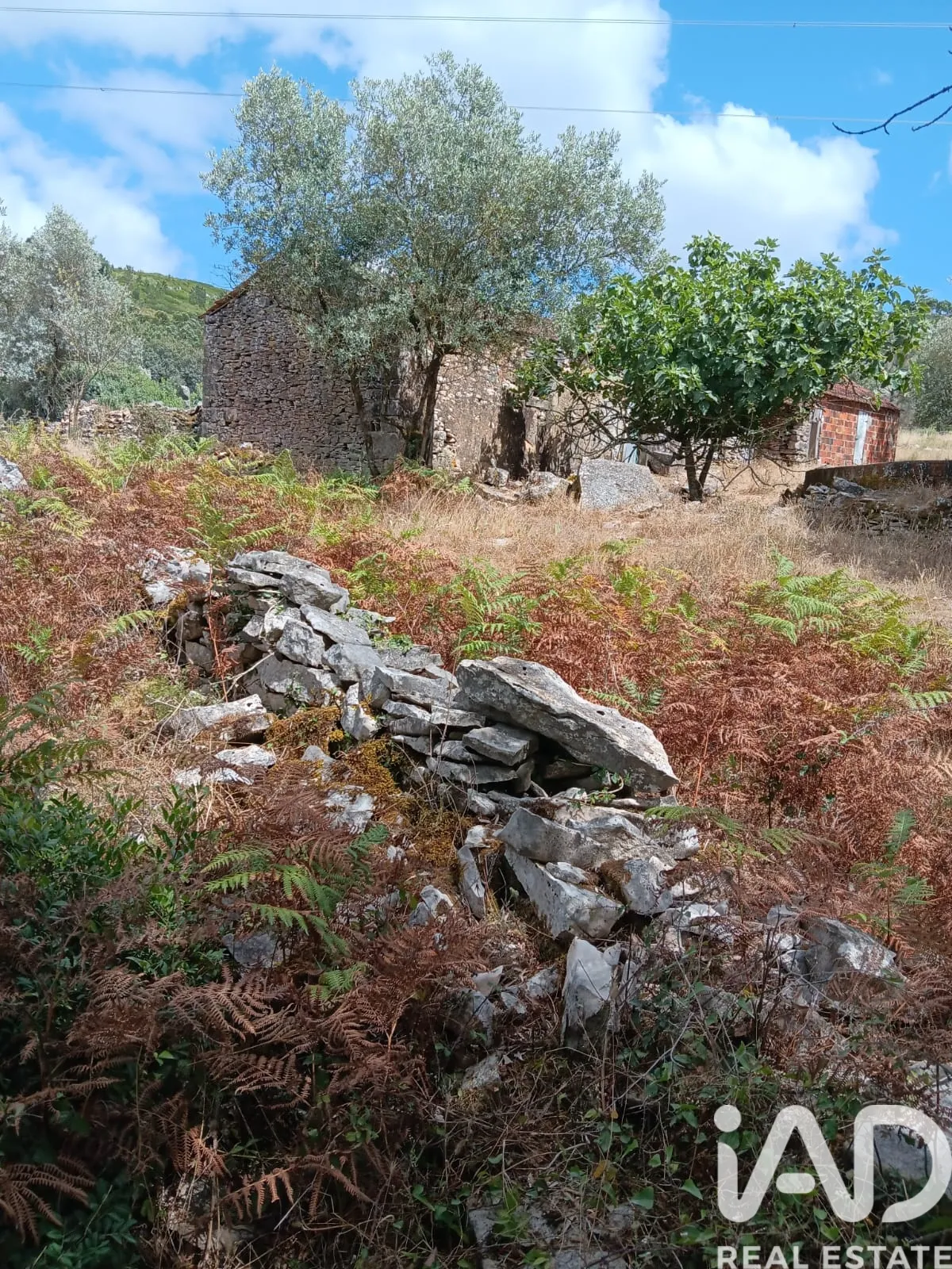 Casa/Moradia 1 quarto de 87 m² em Aljubarrota