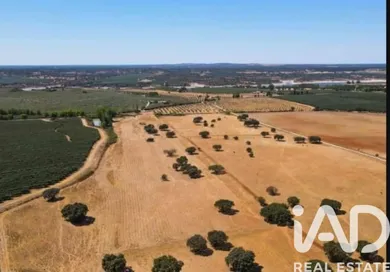 Ferme rurale à AVIS