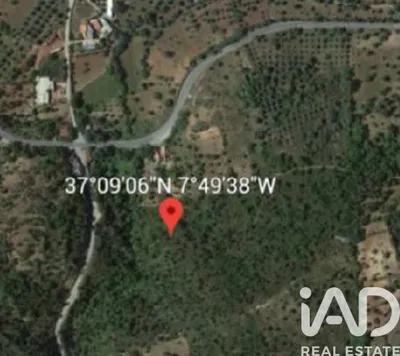 Fotografia 3 de Terreno rústico de 5376 m² em Tavira
