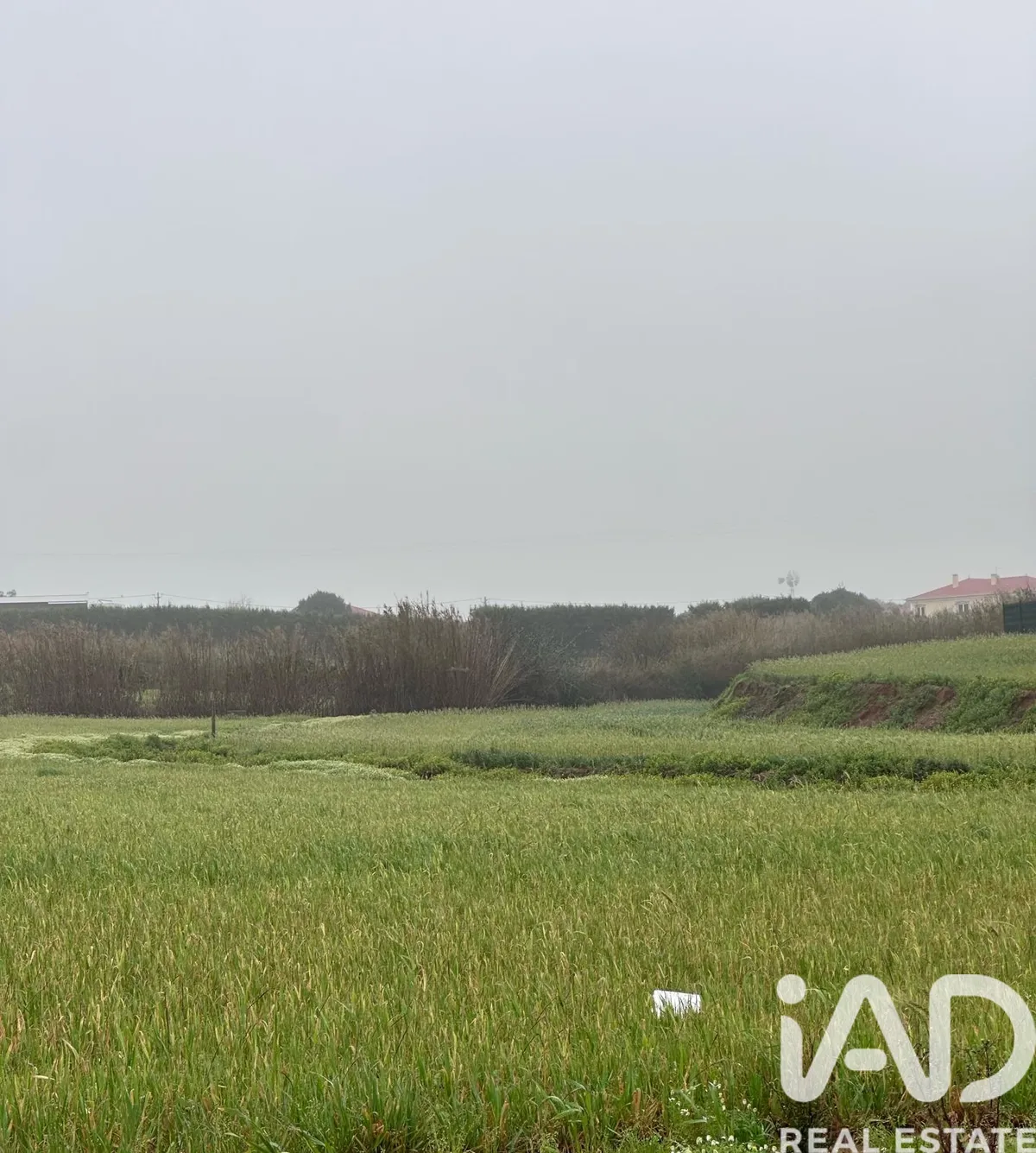 Terreno de 9600 m² em Peniche