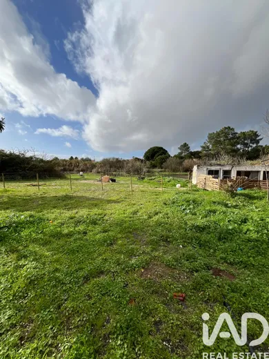 Quinta  em Pinhal Novo