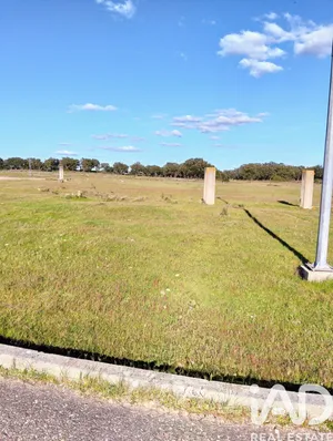 Terreno industrial  em Algeruz