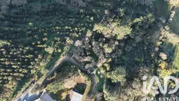 Farm land in Mafra