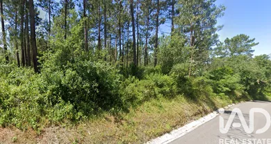 Terreno rústico  em Maceira