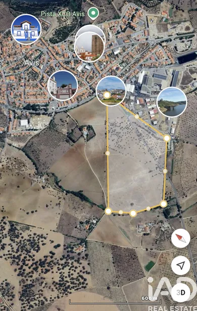 Terrain mixte  à Avis