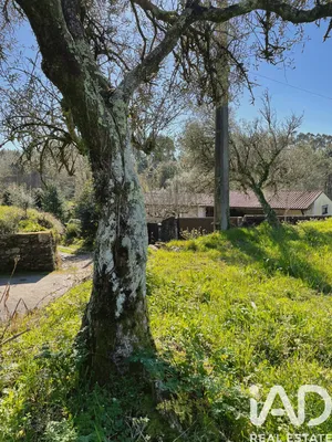 Terreno rústico  em Montaria
