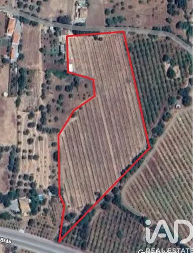 Terreno  em São Brás de Alportel
