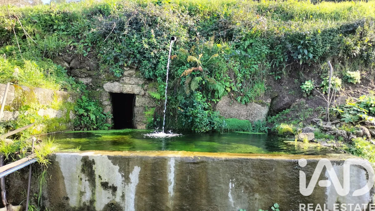 Terreno rústico de 5900 m² em Fonte Arcada
