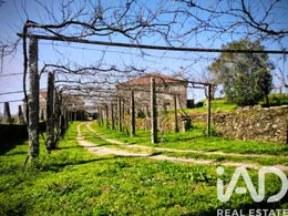 Quinta em viana do castelo