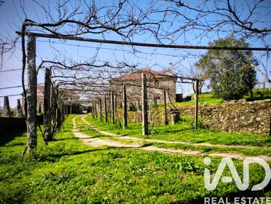 Ferme  à viana do castelo
