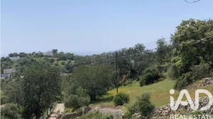 Terreno  em LOULÉ