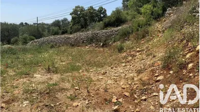 Terreno  em LOULÉ