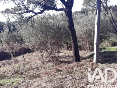 Farm land  in Monchique