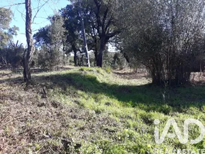 Terreno rústico  em Monchique