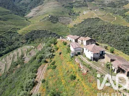 Quinta em Ervedosa do Douro