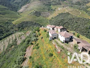 Quinta  em Ervedosa do Douro