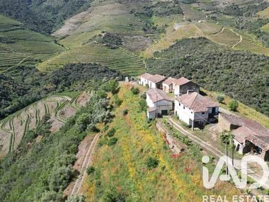 Ferme  à Ervedosa do Douro