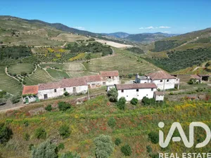 Quinta  em Ervedosa do Douro