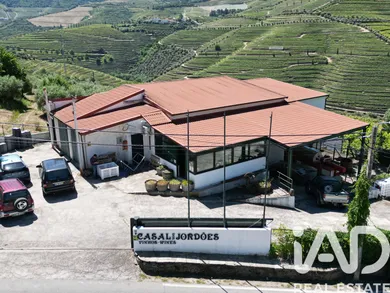 Quinta  em Ervedosa do Douro