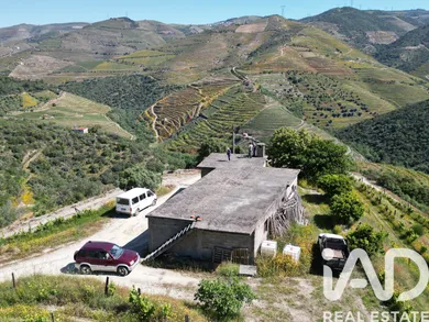Ferme à Ervedosa do Douro
