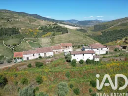 Quinta em Ervedosa do Douro