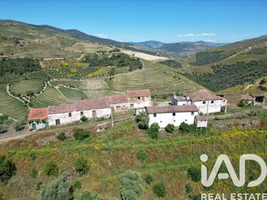 Ferme à Ervedosa do Douro