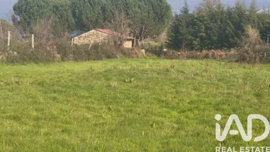 Terreno rústico  em coimbra