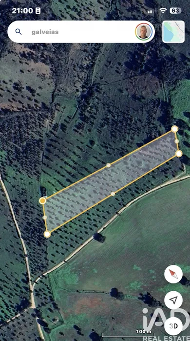 Mixed land in Galveias