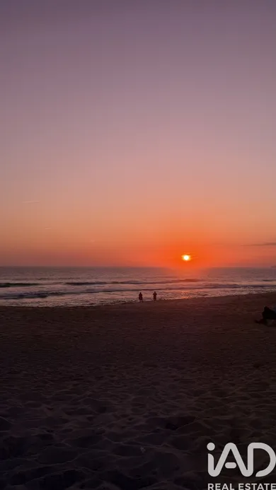 Terreno rústico  em Paderne
