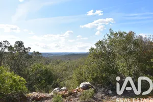 Terreno rústico  em Chãos