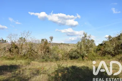 Terreno rústico  em Chãos
