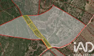 Terreno rústico em Chãos