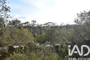Terreno rústico em Chãos