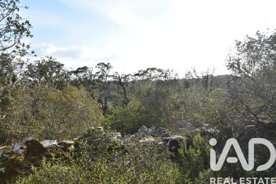 Terreno rústico  em Chãos