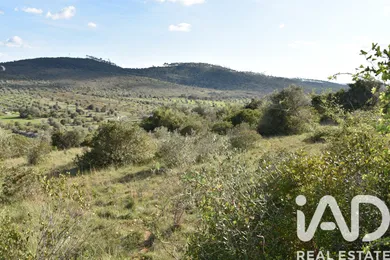 Terreno rústico em Chãos
