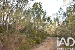 Terreno rústico em Chãos