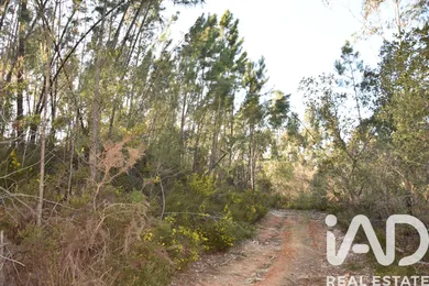 Terreno rústico  em Chãos