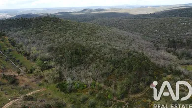 Land in Chãos