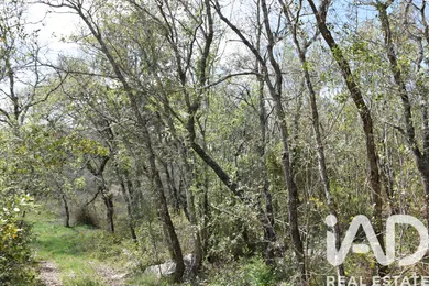 Land in Chãos