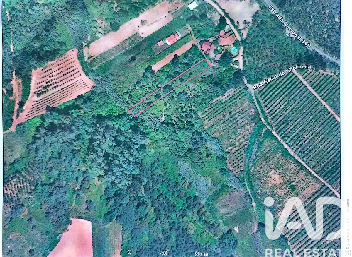 Terreno rústico de 1160 m² em Carvalhal Benfeito