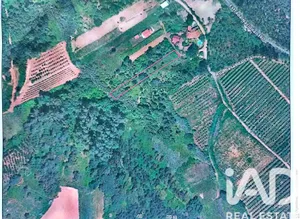 Farm land  in Carvalhal Benfeito