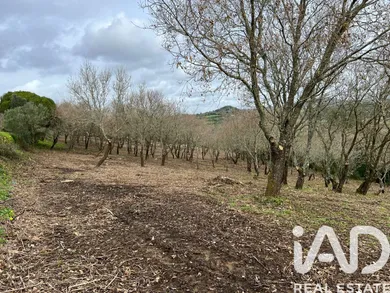 Terrain  à Cheleiros